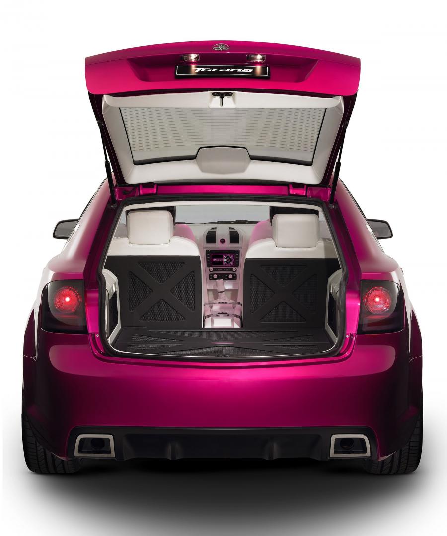  Holden Torana TT36 Concept 2004 года  (фото 45 из 59)
